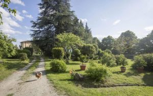 Reggello Casa Cares giardino