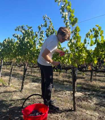 Cantina del Testimone: il gusto autentico della Val d’Orcia